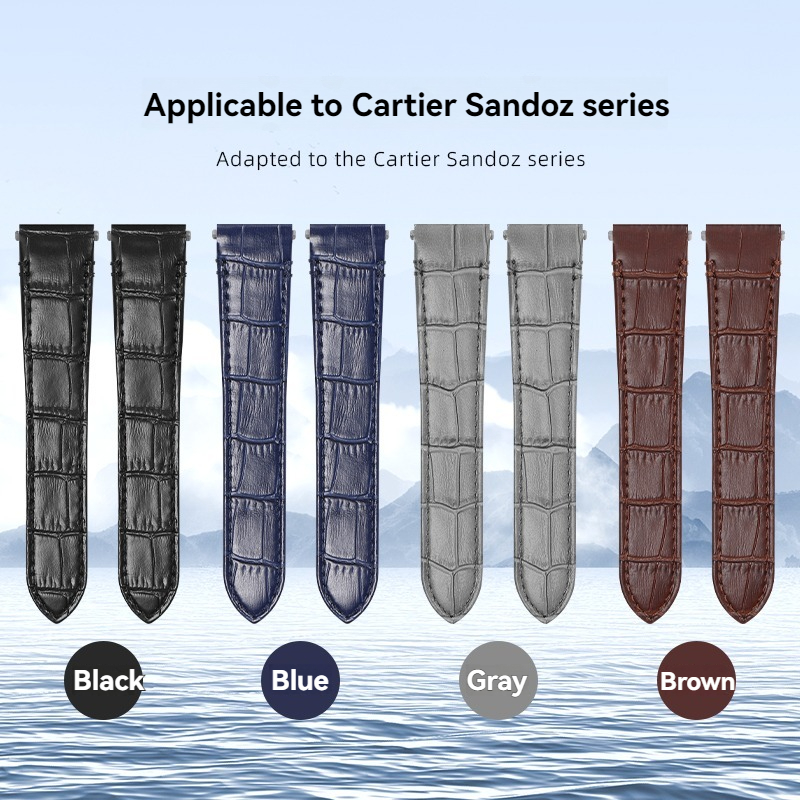 Voor Cartier Santos Quick Rele - Cartier Watch Santos recensie en prijs