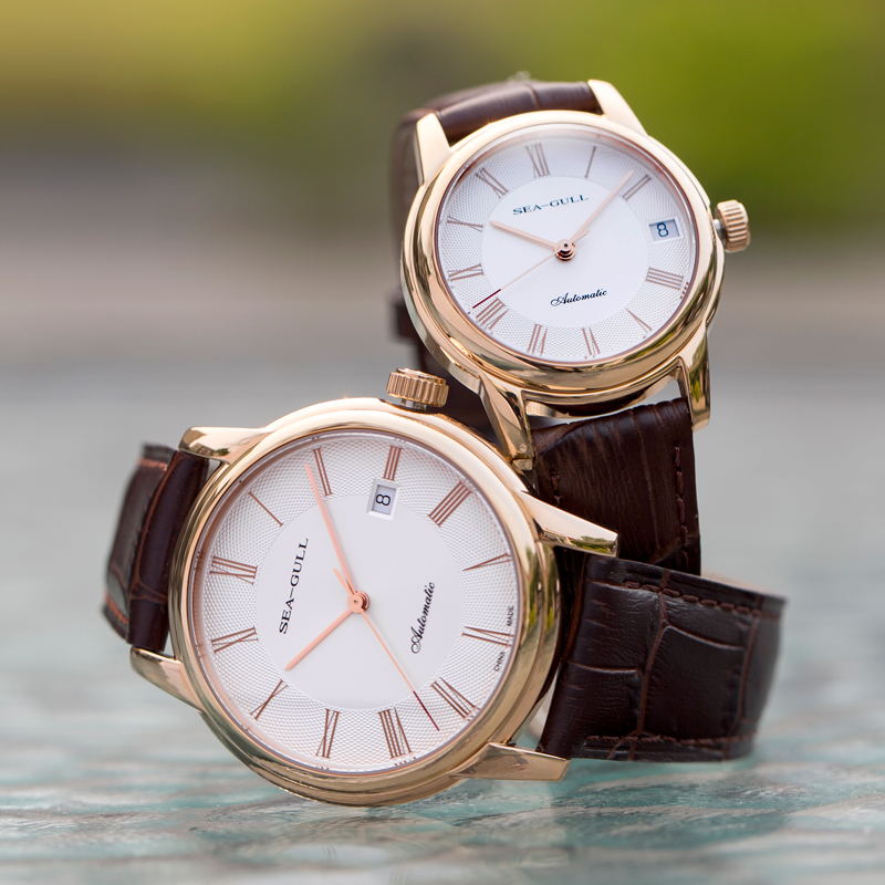 Seagull Mannen Mechanische Hor - Seiko Watch Presage recensie en prijs